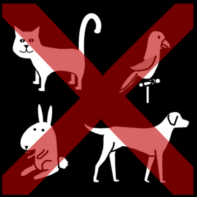 animals